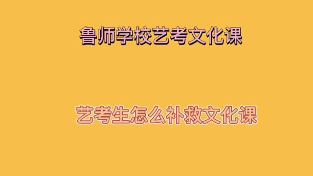 济南鲁师艺考文化课,老师教学经验丰富,量身定制学习方案