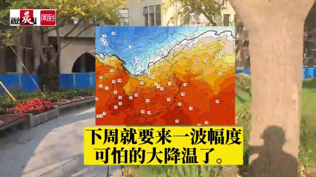 上海冬天要来了?下周将降至1℃?网友惊了:初雪什么时候下?