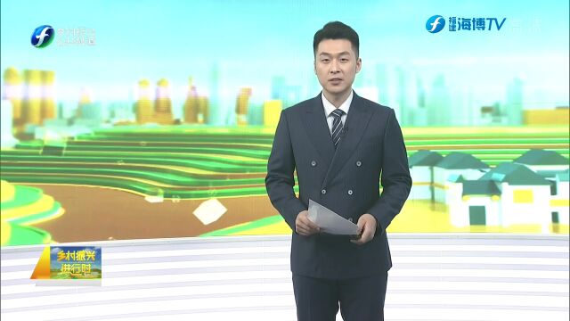 吴才英:“头雁”领航 谱写农村舞台动人乐章