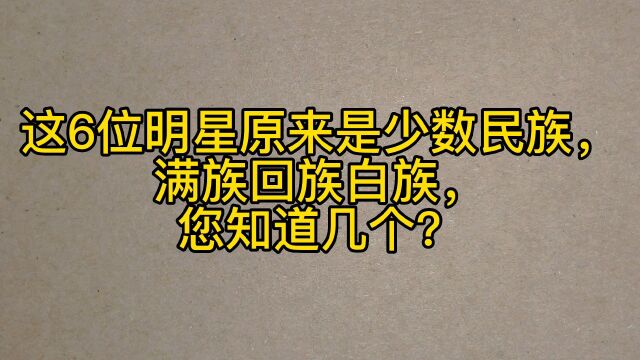 这6位明星原来是少数民族,满族回族白族,您知道几个?