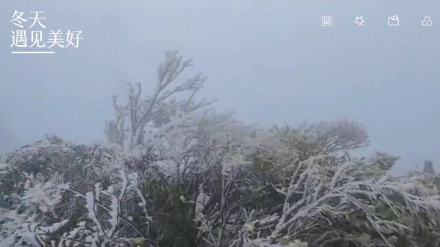 湖南下雪了!这些地方的雪景不容错过