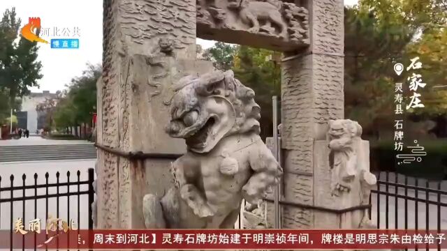 【媒体聚焦】《美丽河北》慢直播多次宣传灵寿