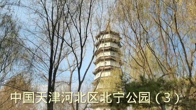 中国天津河北区北宁公园(3)