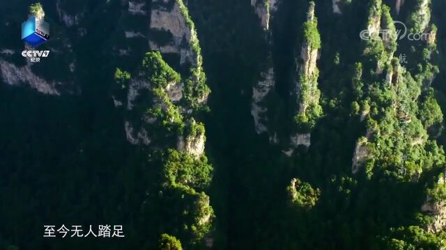 【地质地理】什么叫张家界地貌?冰川地貌,看这篇文章就够了!(含19种冰川地貌及成因)