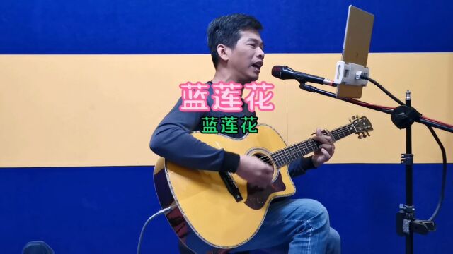 蓝莲花吉他弹唱 木吉他间奏 许魏经典歌曲