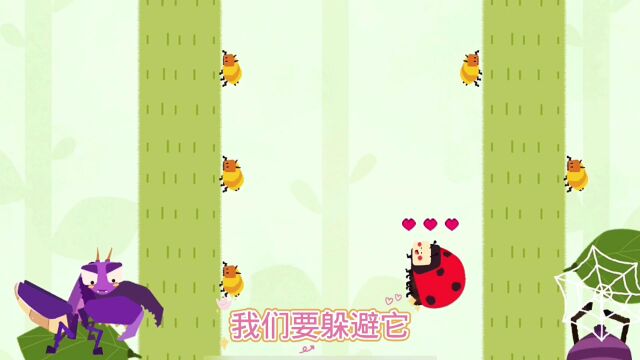 【益智】昆虫日记:花园里都有什么昆虫,快来认识它!