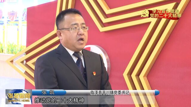 【视频】党组织书记专访 | 临泽县平川镇:打造宜居宜业和美乡村 努力建设魅力水乡平川