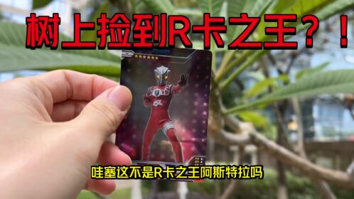 欧哥出门竟然在树上捡到r卡之王阿斯特拉!又在水池发现超大惊喜