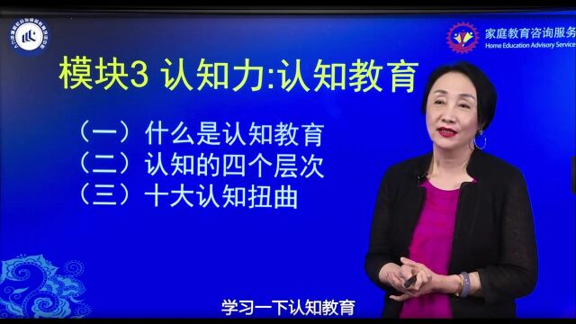 (中级)家庭教育咨询服务 7王薇华:认知力:认知教育