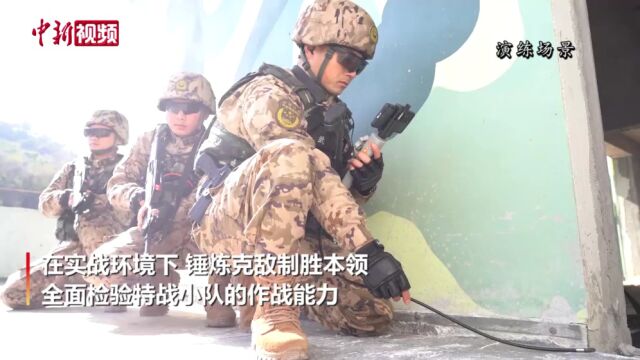 直击湖北咸宁武警实战演练