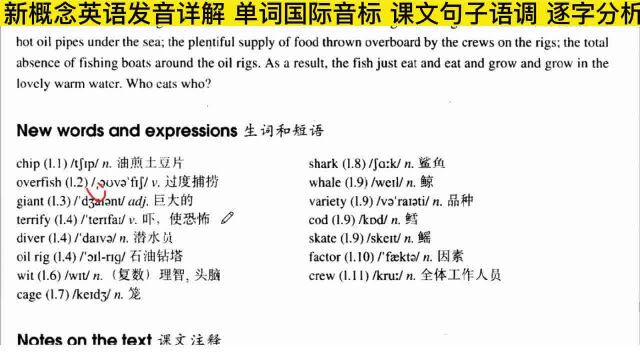 新概念英语第二册第90课发音详解