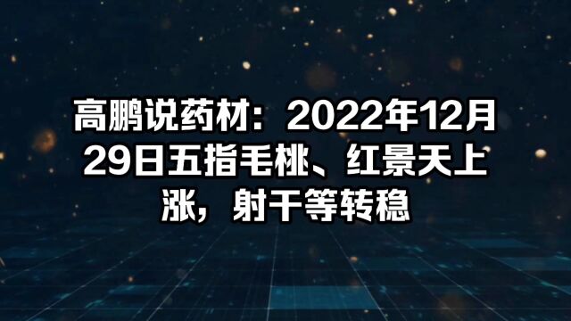 高鹏说药材:2022年12月29日五指毛桃、红景天上涨,射干等转稳