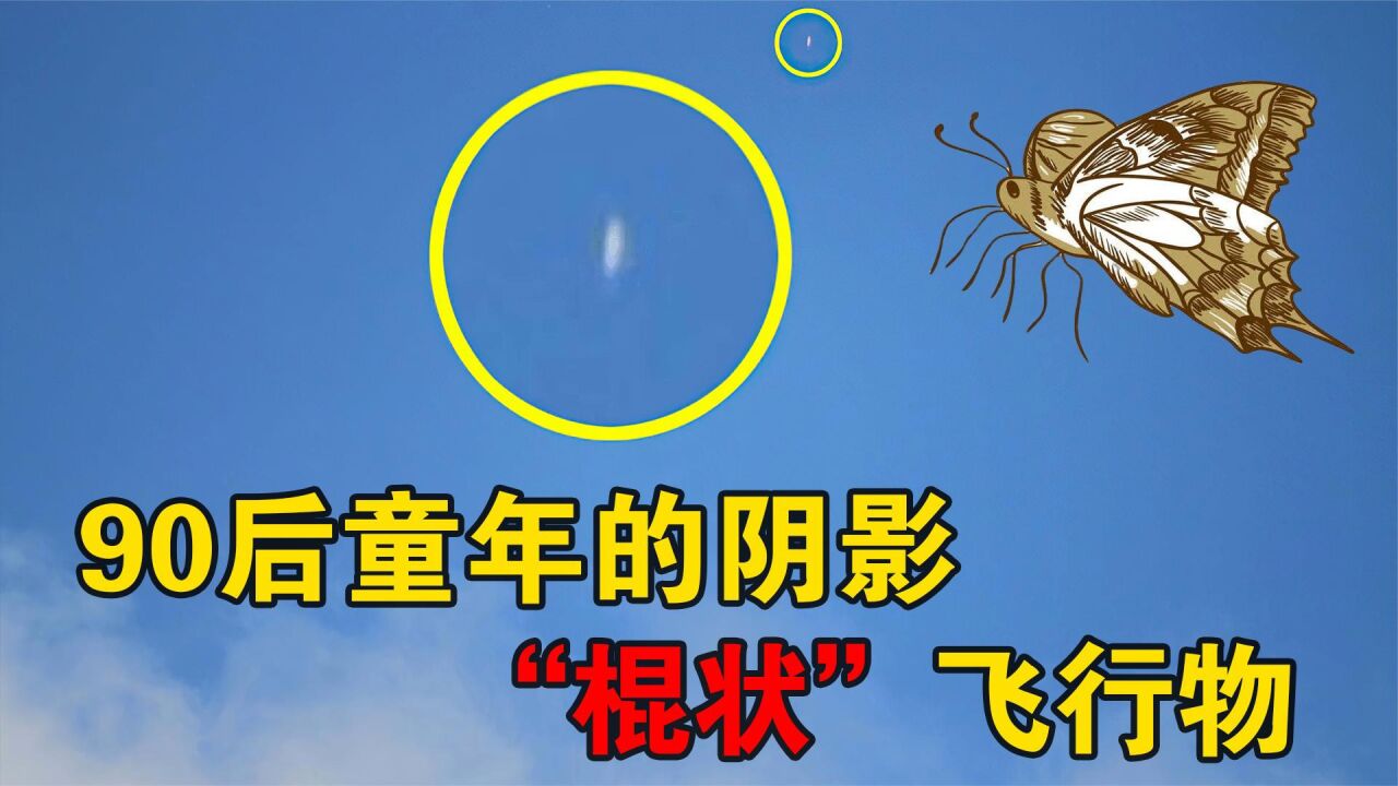 你是否还记得_90后童年的阴影,揭秘未知生物飞棍!