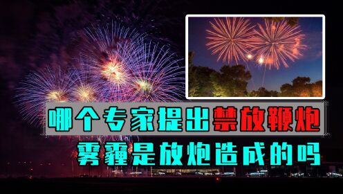 哪个专家提出禁放鞭炮?雾霾是放炮造成的吗?_高清1080P在线观看平台_腾讯视频