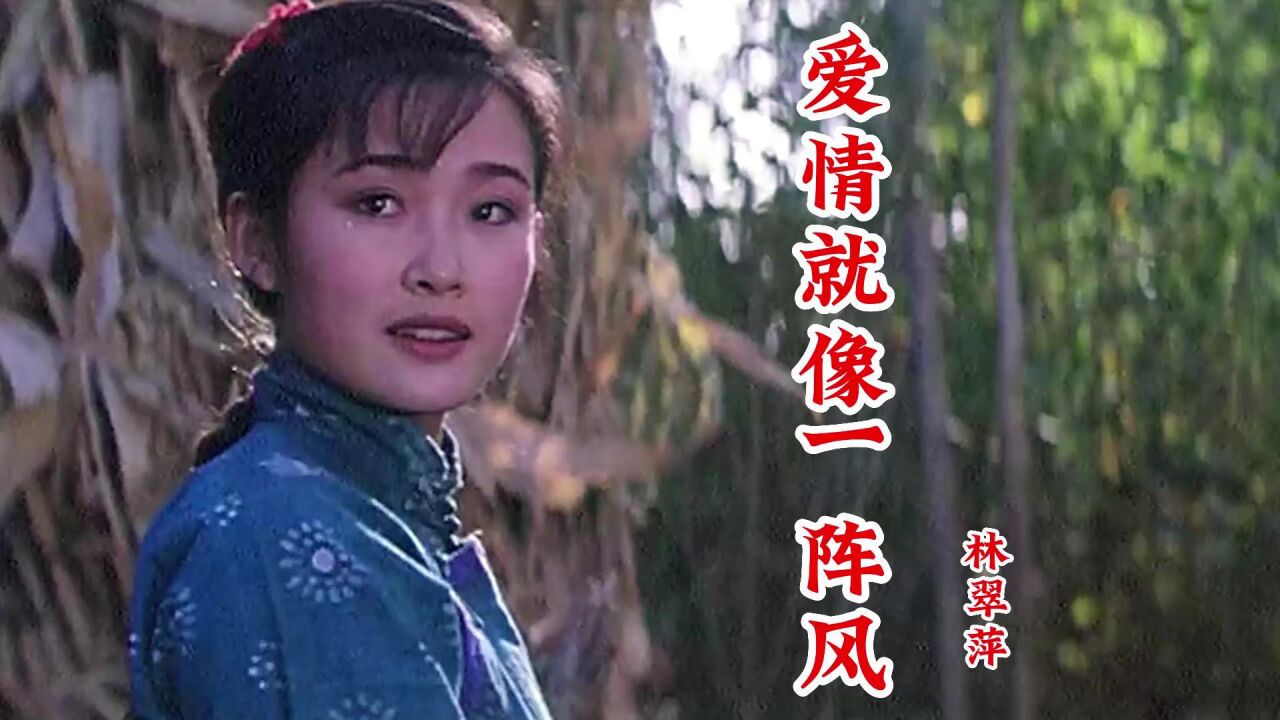 林翠萍经典歌曲《爱情就像一阵风》爱情像一阵风,浓浓情意在其中