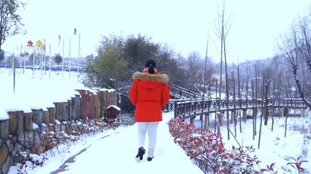 山湾风车村 | 设计师胡太明 | 栾川特色乡村旅游 | 洛阳特色文旅小镇