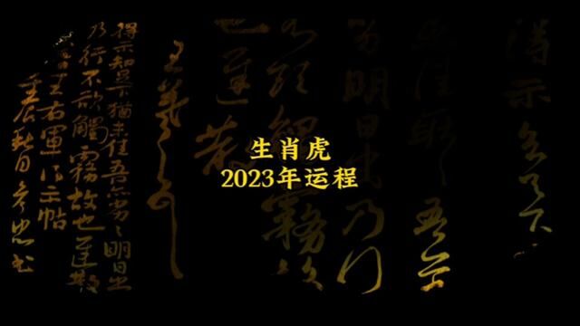 #生肖虎 全年运程解说#十二生肖运势 #国学智慧