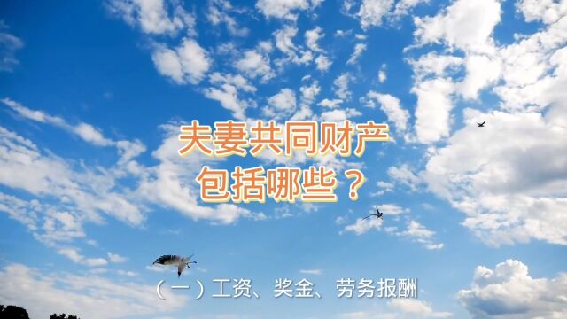 保定律师:夫妻共同财产包括哪些?保定离婚律师