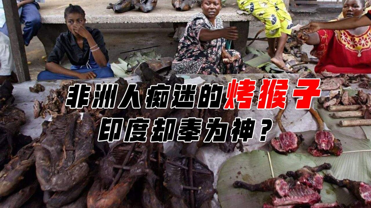非洲重口味"烤猴子",在当地大受欢迎,为啥印度人不吃?
