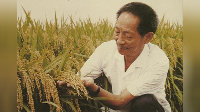 简单介绍1942年河南大饥荒 袁隆平爷爷来时饿殍满地 走时禾下乘凉