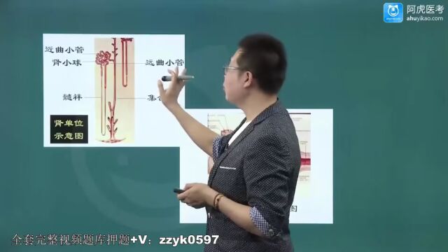 2024年阿虎医考肾内科学主治医师考试视频(精讲课+题库)试题讲解实践慢性肾小球肾炎(1)