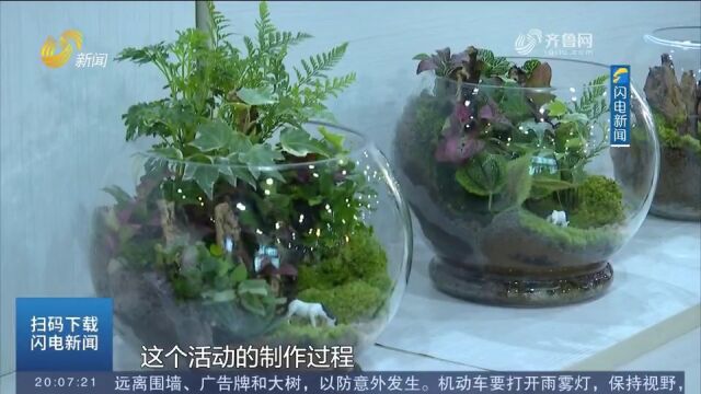 60余组生态微景观作品展出!济南森林公园举办特色科普活动