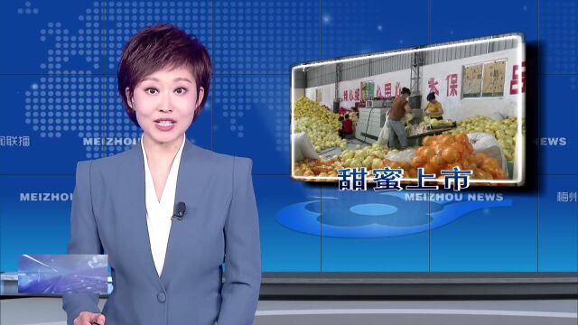 金秋“柚”丰收!梅县区8.1万亩蜜柚“甜蜜上市”