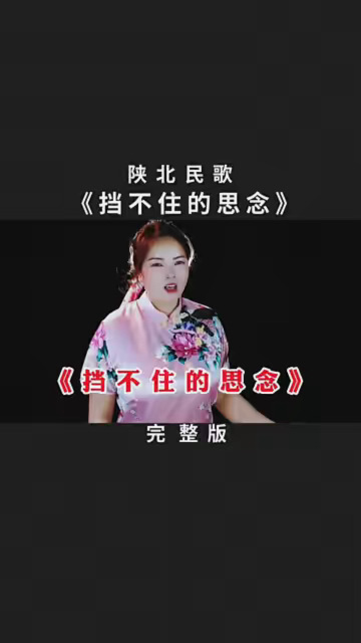 一首西北情歌《擋不住的思念》唱出生活的無奈,心中的悲涼!