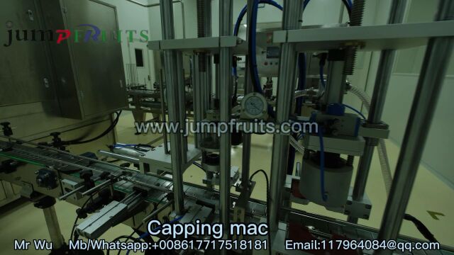 Jump machinery (shanghai) limited 水果酱类生产线 果酱加工设备 果酱加工机器