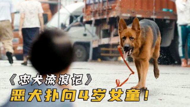 恶犬扑向女孩,流浪狗冲上前去保护,却被狗主人打断腿《忠犬流浪记》