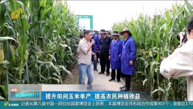 专家学者齐聚实地观摩,提升田间玉米单产,提高农民种植收益