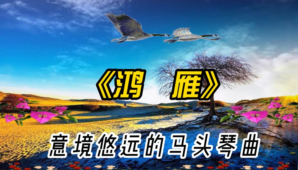 马头琴曲《鸿雁》,婉转悠扬的曲调,魂牵梦绕的思绪油然而生