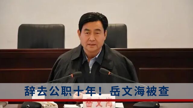 辞去公职十年!河南省周口市原市长岳文海接受监察调查