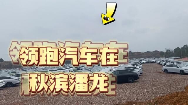 领跑汽车,金华开发区最大的新能源项目,秋滨镇迎来大工业时代.