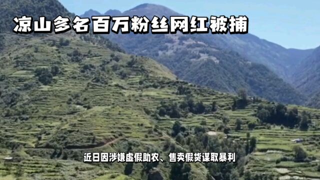 凉山多名“百万粉丝”网红被捕