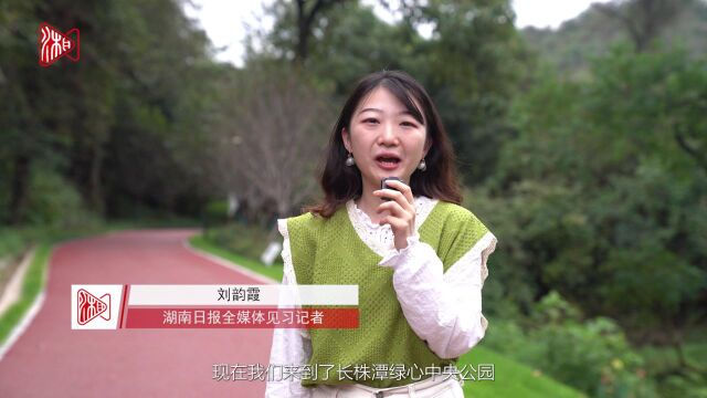 融城有我,这里打卡⑧ | 跳马镇用一条道,串起一片绿