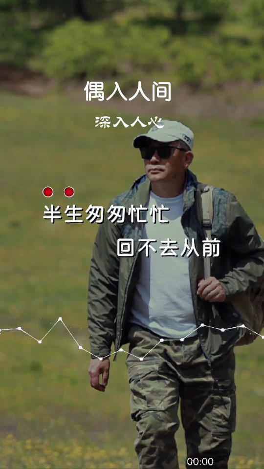 不知不觉半生已过,我们在奔波中长了年龄,在忙碌中白了头发,阅尽世间