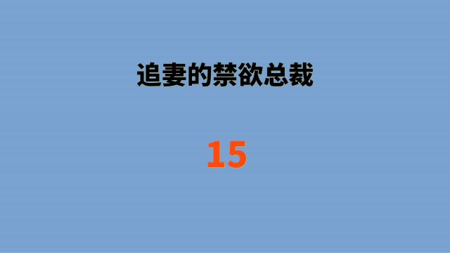 有声小说,恋爱宠文,语音聊天记录,情感故事