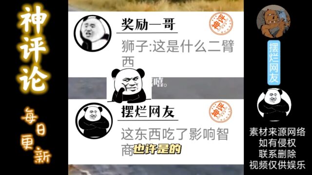 神评论他这一笑是什么意思