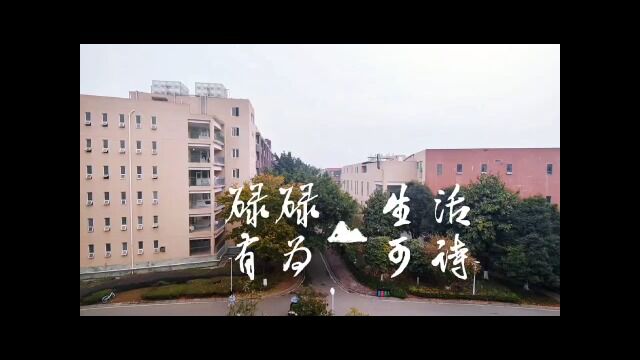 劳动创造辉煌