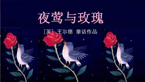《夜莺与玫瑰》|英伦才子王尔德写给成人世界的童话