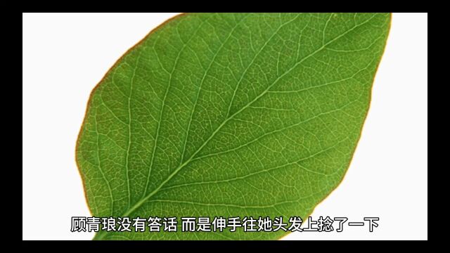 精彩分享《表兄万福》孟姿顾青琅全文