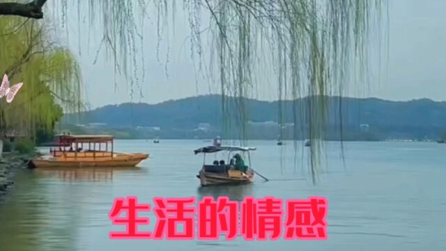 为什么人的交际友情,不仅充满很多无效,还会怀疑人生