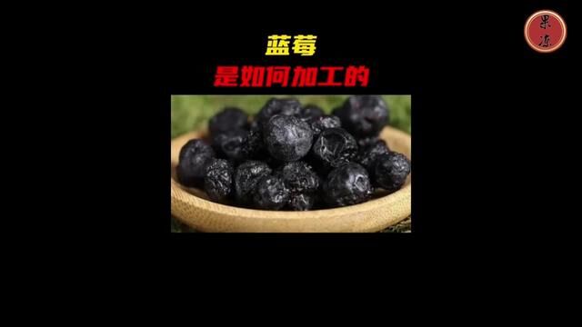 你以为蓝莓是长在地上的吗?蓝莓是如何采收和加工的,蓝莓干又是如何制作的#蓝莓 #蓝莓干 #果干 #食品加工 #蓝莓熟了