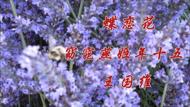 蝶恋花ⷧꈧꕮŠ燕姬年十五