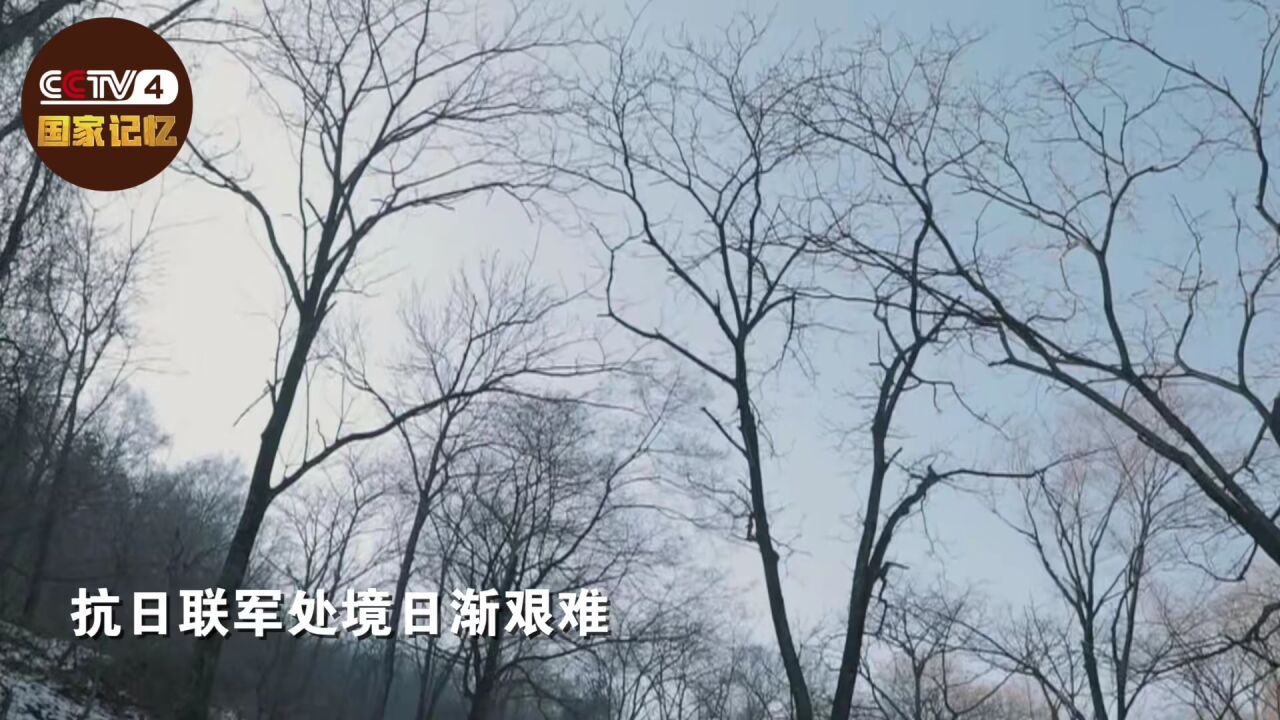 83年前,他靠吃草根、树皮和棉絮战至最后一息!_腾讯视频}
