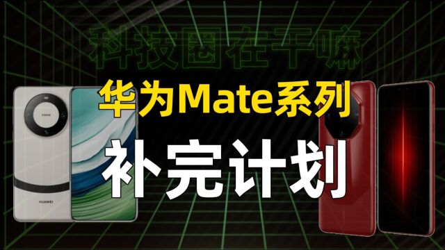 Mate家族集结完毕,哪个才是你的菜?