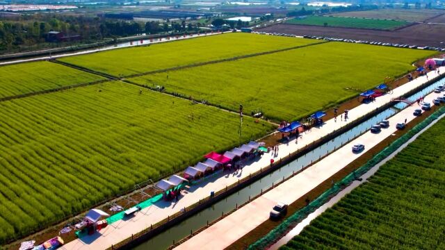 推行全域土地综合整治,佛山南海带动“三生空间”全面提升