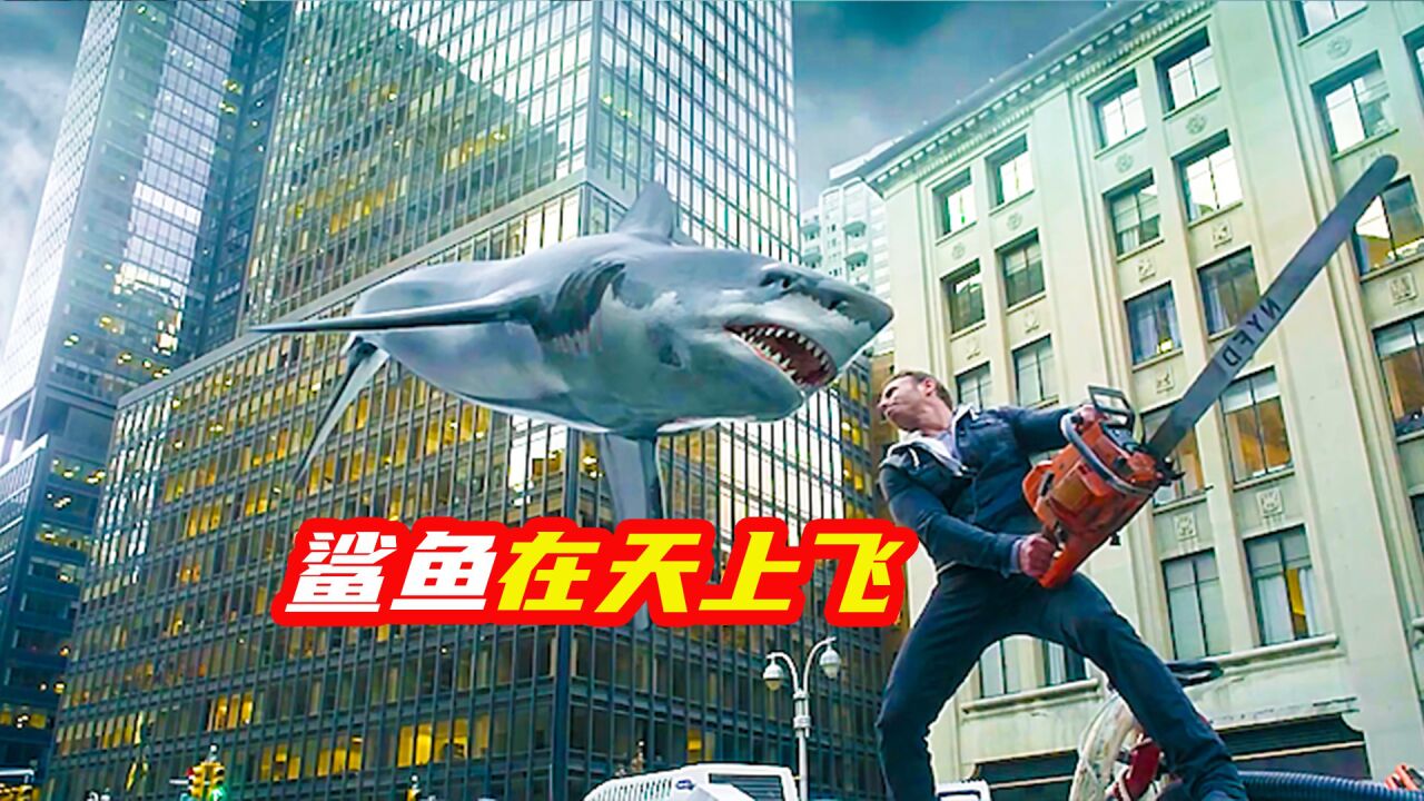 鲨鱼风暴席卷而来,球场里只剩个小女孩《鲨卷风2》