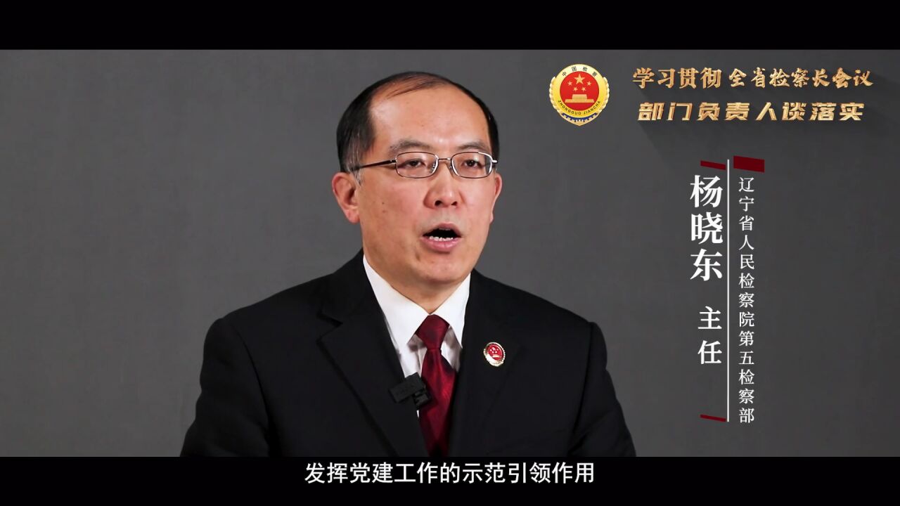 全省检察长会议 部门负责人谈落实】辽宁省检察院第五检察部:杨晓东